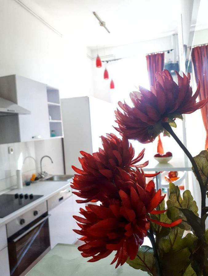 Apartment Zrinjevac Zagreb Eksteriør bilde